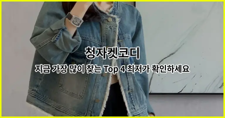 청자켓코디 지금 가장 많이 찾는 Top 4 최저가 확인하세요